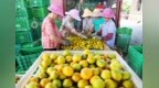 南丰以服务“破局”助推农产品组团“出海”