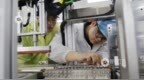 手握全国唯一锂电全链，江西在固态电池赛道布局大棋