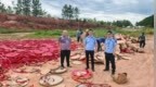 贵溪市集中销毁抽检不合格烟花爆竹18箱、各类爆竹400封