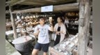 减免税款150万、通关时间压缩四成！景德镇助力陶瓷产品出海