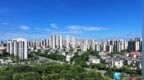浔阳夏日：蓝天碧水映长虹（图）