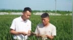 打品牌造福祉 同走振兴路——记安徽省庐江县移湖街道永桥村党委书记、合肥市优秀党务工作者赵龙
