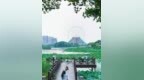 水城夏韵 “荷”你相遇
