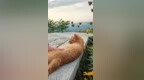 抚州灵谷峰那只网红橘猫，终于有名了！