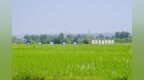 多省市齐聚长安共探生态修复新路径