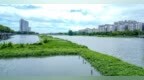 水清岸美的“水下森林”水果湖