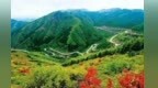 知三先生的乡土守望　三千万字承载陇东文化记忆