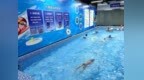 避暑健身两相宜 宜春各游泳馆迎来暑期客流高峰