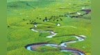 雨洗狼渡滩湿地：牛羊散落碧野　溪流如玉带