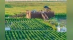 兰州新区一“路”生花　串联乡村振兴示范带