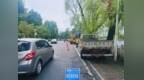 信阳园林：精细日常管养 护航沿河绿带