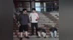 自驾游玩途经马鞍山，两男子“拉车门”盗走3万元现金