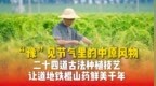 立秋，豫见节气里的中原风物