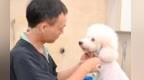 政策“东风”正劲 江西宠物经济能否“弯道超车”？专家说……