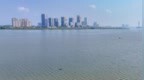 南昌：江豚逐浪赣江湾 城水共生绘新卷（图）