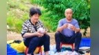 【甘快看】蜜桃“出圈记”　兰州皋兰什川镇蜜桃产业升级香飘市场