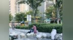 汉阳一商业街石墩挡路引争议 物业回应