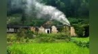 盛夏入谷：空气里长满树　石缝里生出苔