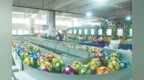 定南：“足球+”全产业链激活县域发展动能（图）