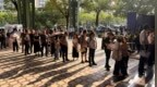 集采变了：原研药回归，报价极低也要被点名