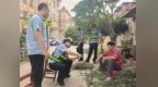 淮北市杜集区石台镇：携手民警共绘基层治理新画卷