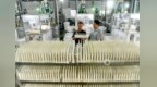 麻姑米年销突破3亿元，南城品牌农业跑出加速度