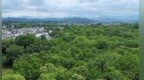 黄山屯溪：百鸟栖傍霞 生态优势转化乡村振兴发展胜势