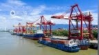 龙门吊起落、船舶往来如织，九江港上半年货物吞吐量达1.17亿吨