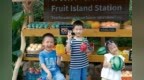合肥市庐阳实验幼儿园教育集团红玺台总园：夏日趣时光 平安伴假期