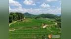 规上利润激增389%，解码崇义工业的“逆袭密码”