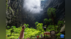 湖北宣恩：游绿水青山 享夏日清凉
