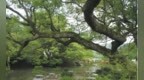 上饶推出3条夏季避暑旅游线路