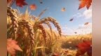 立秋≠入秋　需格外关注孩子肺卫养护