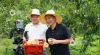 个人创业一件事！上饶市创业担保贷款实现全流程网办