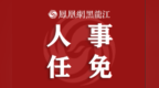 最新任免职名单