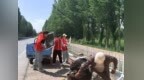 为民办实事好事 | 阿合塔拉村路灯“上新”点亮乡村夜美好