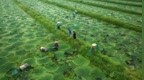 水乡沃土育“金果”：无锡宜兴潘东农业，科技赋能下苏南乡村产业振兴样本