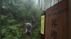 《江西阳际峰国家级自然保护区条例》获批，新增行政处罚委托的条款