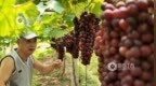 从“看过拍过打卡过”到“学过体验过感悟过”，南昌兴起知识型体验消费