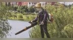 景德镇：酷暑坚守护青绿 匠心扮靓昌南湖（图）