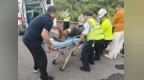 河北高速集团承德分公司承德西收费站紧急救助摔伤摩托车司机