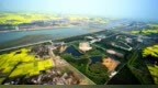 三星堆遗址祭祀坑发现40周年：惊世之后，追问不止