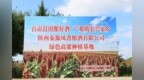 从农田到酒海筑牢品质根基——凤翔区酒企自建绿色酿酒原粮基地赋能乡村全面振兴