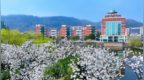 信阳“教体两开花”  一座豫南城市的突围与进击