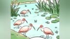 山水趣科普丨从“孤羽”到“群飞”：朱鹮的“基因雷达”DNA靶向监测