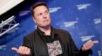 还没把英伟达送上天，SpaceX股价先跌入地了