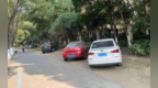占一平米罚款500-1000元，芜湖市开展绿化带乱停车专项整治