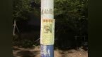 安徽一女子高速遇事故爱犬走失，25天后跨市寻回抱狗痛哭