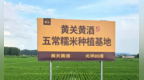 冰黄酒哪个品牌口感好？黄关黄酒以原料作答