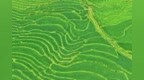 宜丰县：高山梯田绿意浓（图）